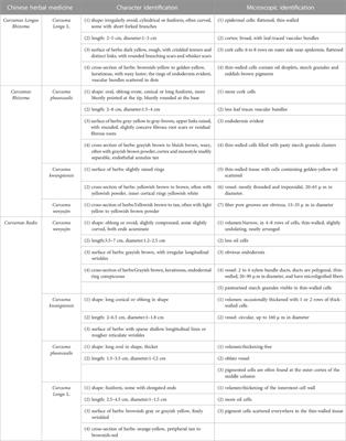 Sources, morphology, phytochemistry, pharmacology of Curcumae Longae Rhizoma, Curcumae Radix, and Curcumae Rhizoma: a review of the literature